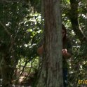 2011-Jul-09_HGR4X4_Richloam_P1 133